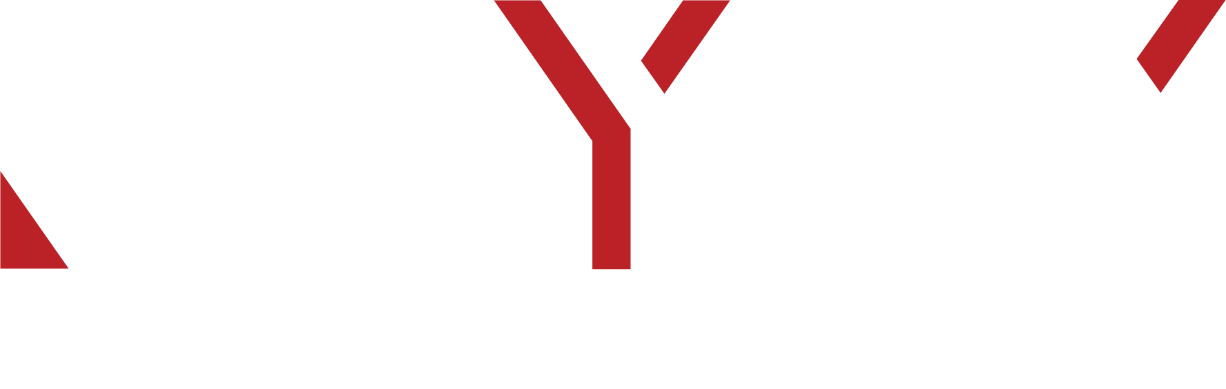 big-logo
