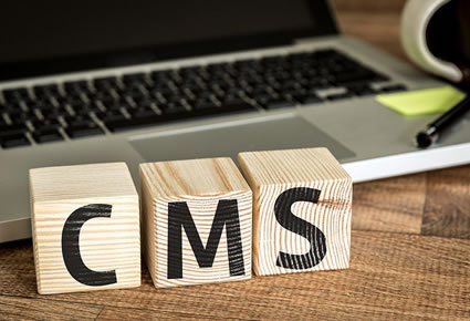custom-cms